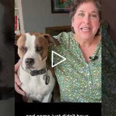 A Week of Calluses - Intro  #footcare #podiatry #drnailnipper