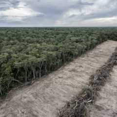 GEF raises $3.9bn ahead of funding deadline, $1bn below previous budget