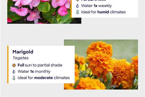 Infographic: Tips for an Environmentally Responsible, Low-Maintenance Yard