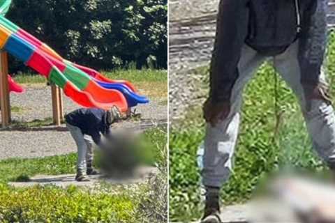 Outrage in Italy: Nigerian Migrant Arrested After Killing and Cooking Cat on Makeshift BBQ Next to..