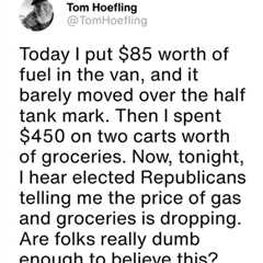 Are We that Dumb?