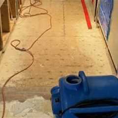 Why Water Damage Restoration Is Quietly Becoming Part of Long-Term Gallery Management in Miami FL