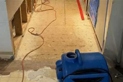 Why Water Damage Restoration Is Quietly Becoming Part of Long-Term Gallery Management in Miami FL