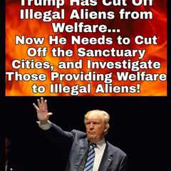 Trump and Illegal Aliens