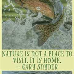 Earth911 Inspiration: Nature Is Not a Place To Visit. It Is Home.