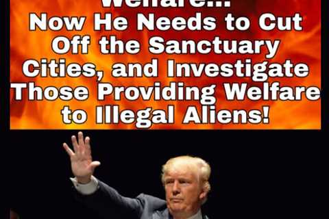 Trump and Illegal Aliens