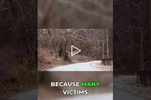 Who really failed the Asheville victims? #shorts