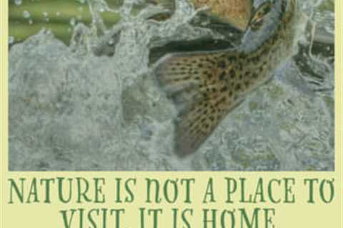Earth911 Inspiration: Nature Is Not a Place To Visit. It Is Home.